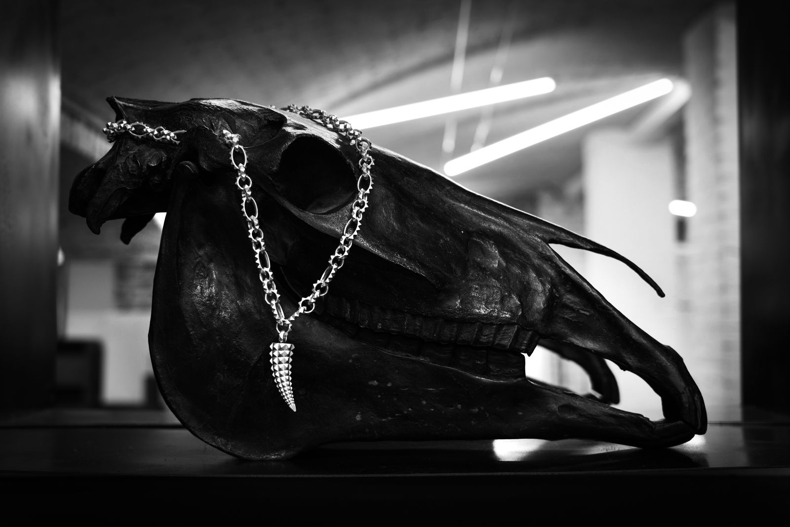 LEONY tusk necklace on a skull